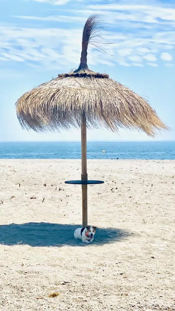 Pionono1 Calahonda Piscina公寓